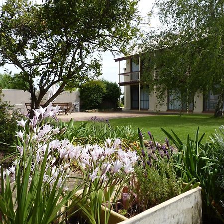 Coonawarra Motor Lodge Penola Eksteriør bilde